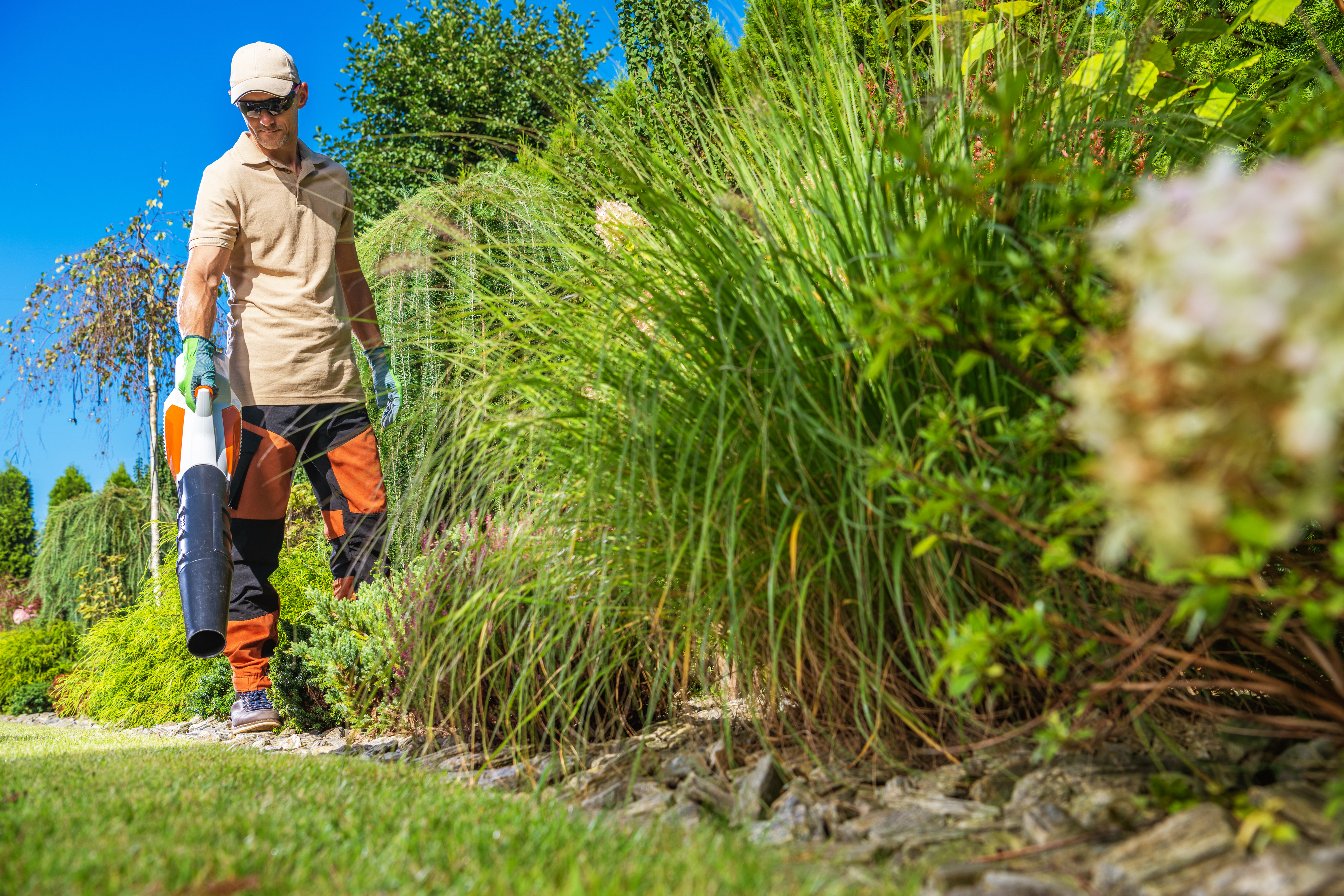 Gardener performing yard cleanup with blower