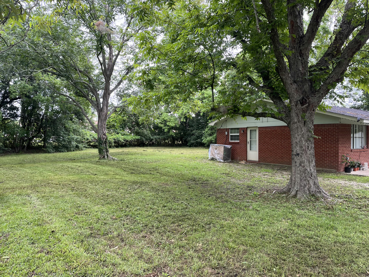 Clean residential yard after mowing and cleanup